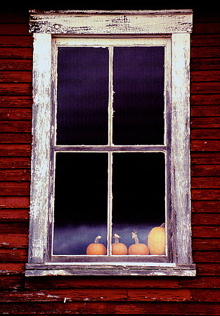 Orchard Window