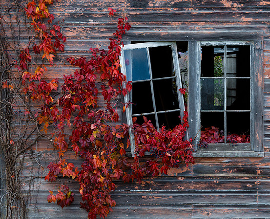 Addison County Color