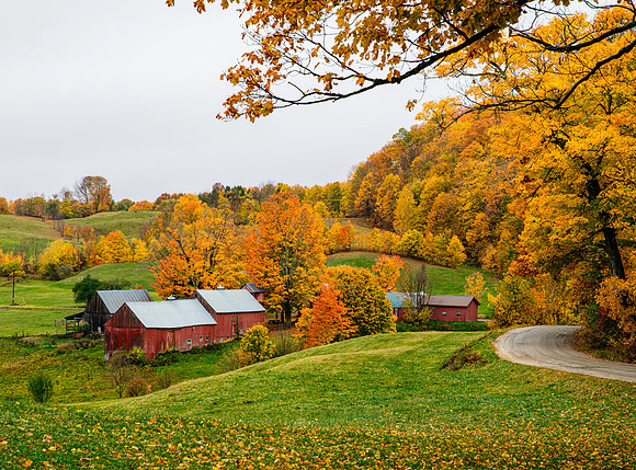 Autumn at Jenny Farm