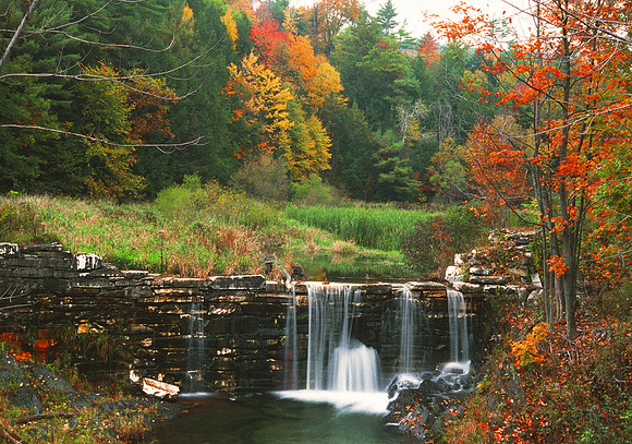 Hubbarton VT Autumn