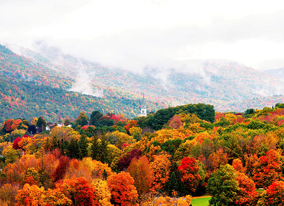 Under the Canopy, Vermont