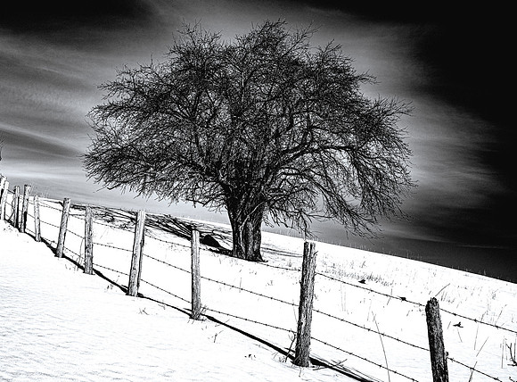 Winter Aura