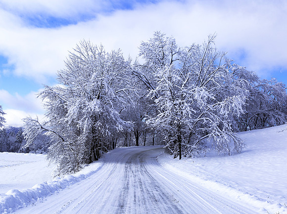 Pawlet December 2014