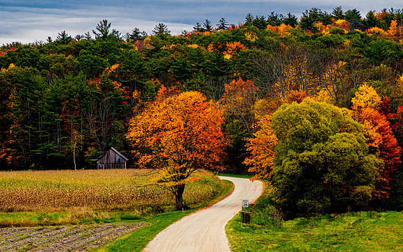 Fall foliage in Whipple Hollow, Vermont