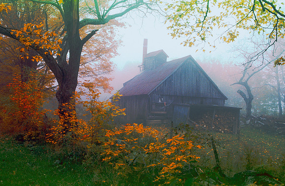 Autumn Sugarhouse Morning Fog